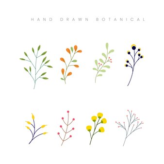 Hand drawn spring botanical flower floral elements set illustration