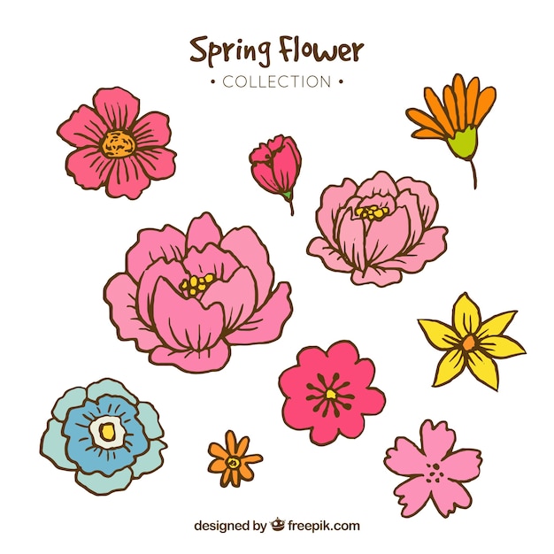 Hand drawn spring flower collection