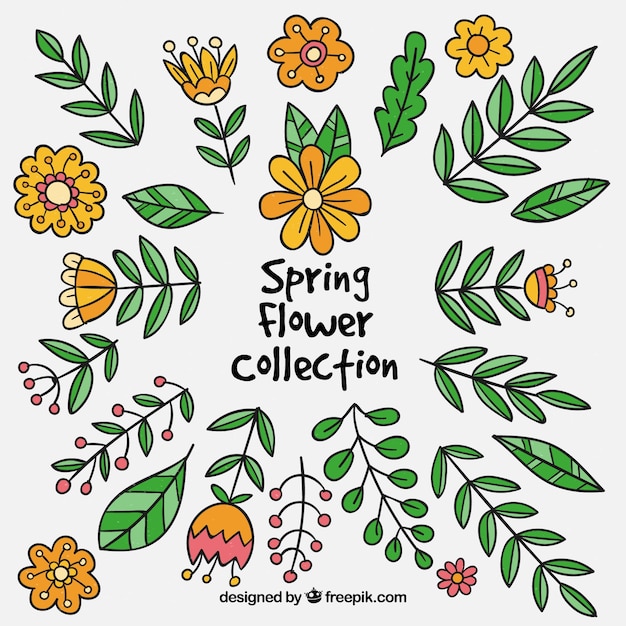 無料ベクター 手描きの春の花のコレクション