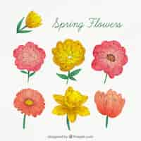 Free vector hand drawn spring flower collection