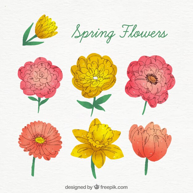 Hand drawn spring flower collection