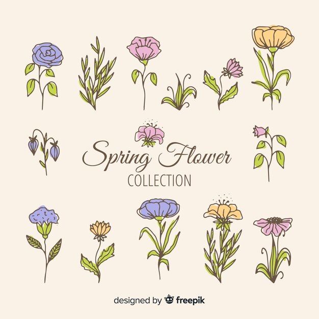 Hand drawn spring flower collection