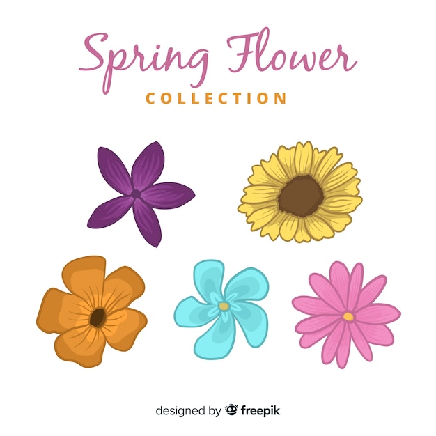 Collezione di fiori primaverili disegnati a mano