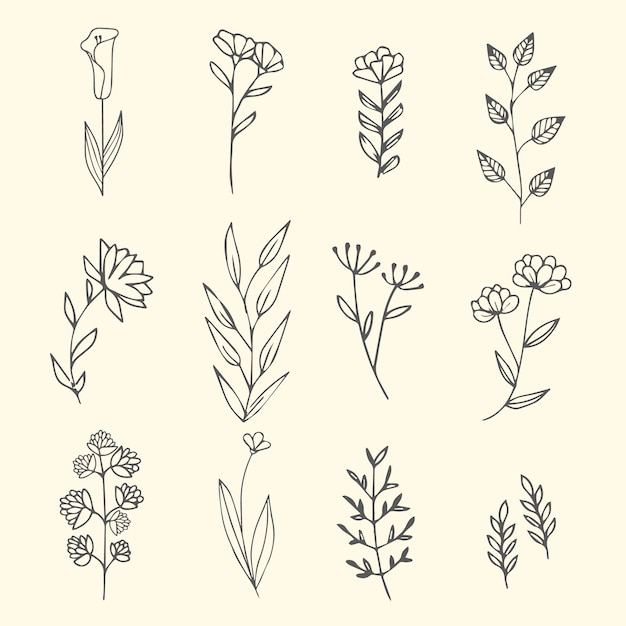 Free vector hand drawn spring flower collection