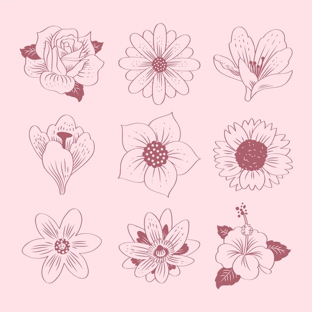 Hand drawn spring flower collection