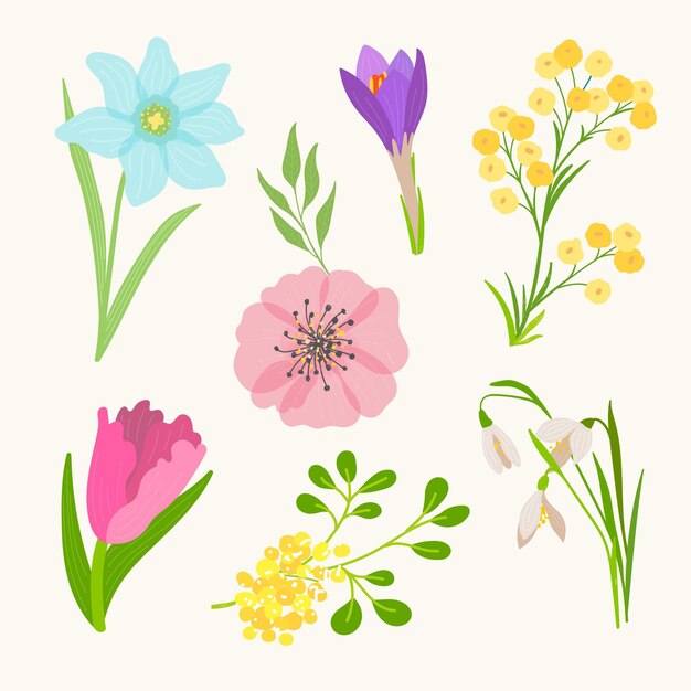 Hand drawn spring flower collection