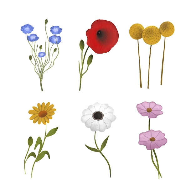 Free vector hand drawn spring flower collection