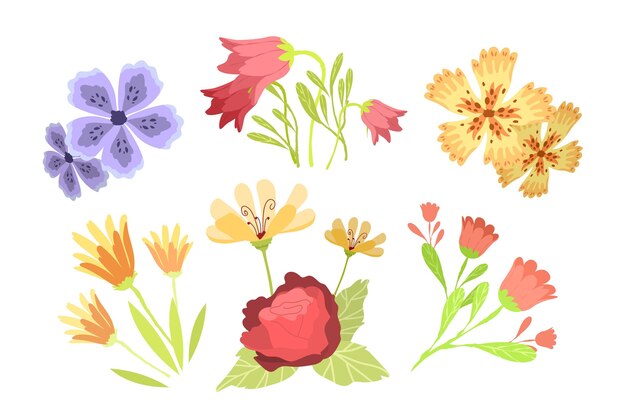 Collezione di fiori primaverili disegnati a mano