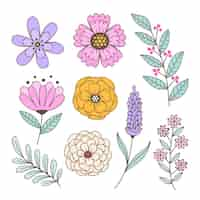 Free vector hand drawn spring flower collection