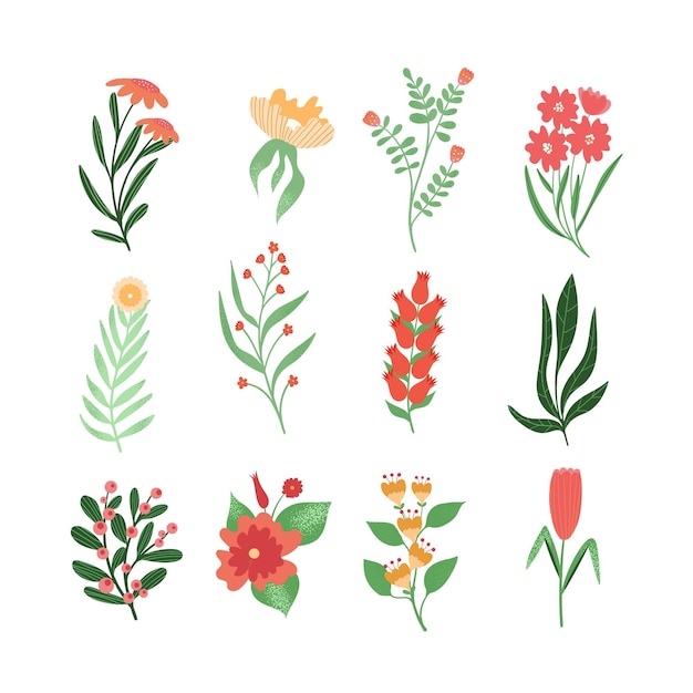 Free vector hand drawn spring flower collection