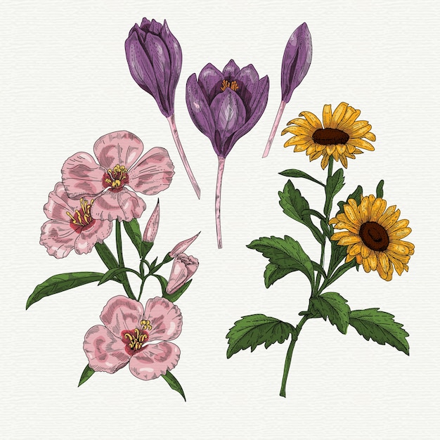 Vettore gratuito collezione di fiori primaverili disegnati a mano