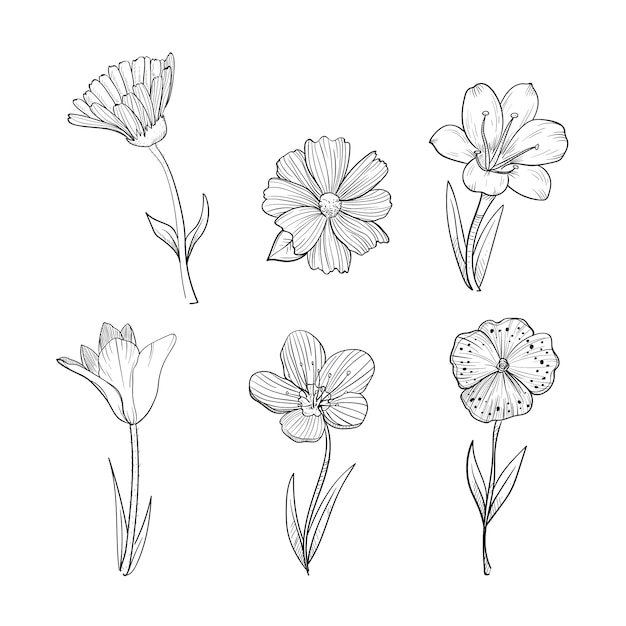 Hand drawn spring flowers collection