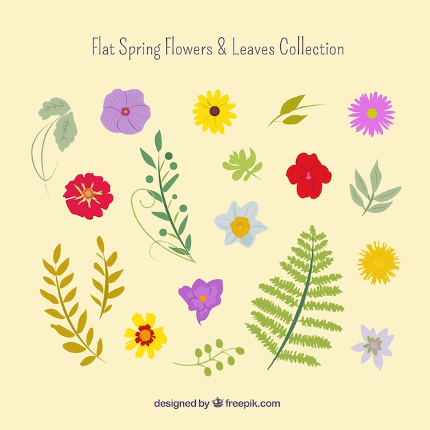 Hand drawn spring flowers and leaves set