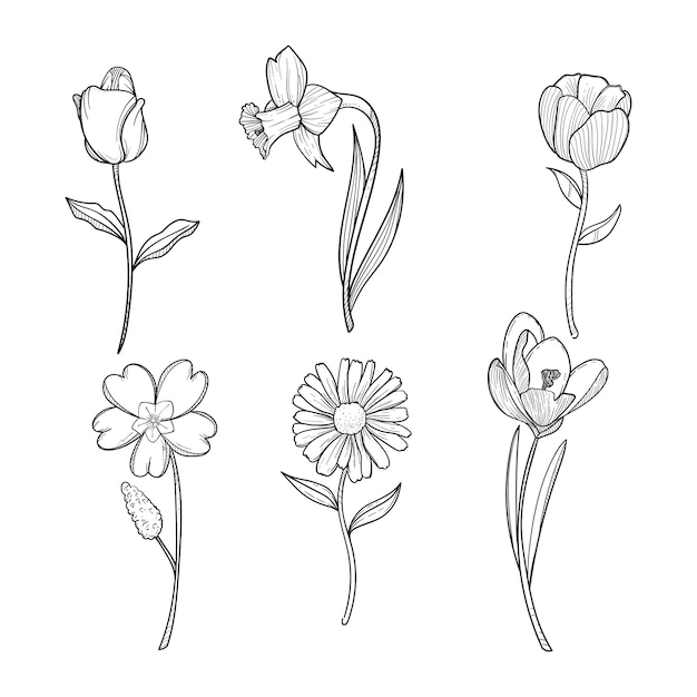 手描きの春の花