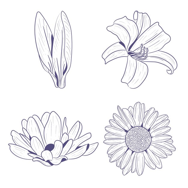 Hand drawn spring flowers