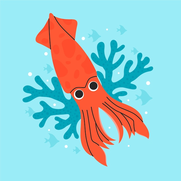 Hand drawn squid illustration