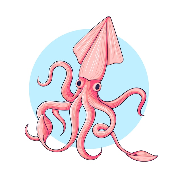 Free vector hand drawn squid illustration
