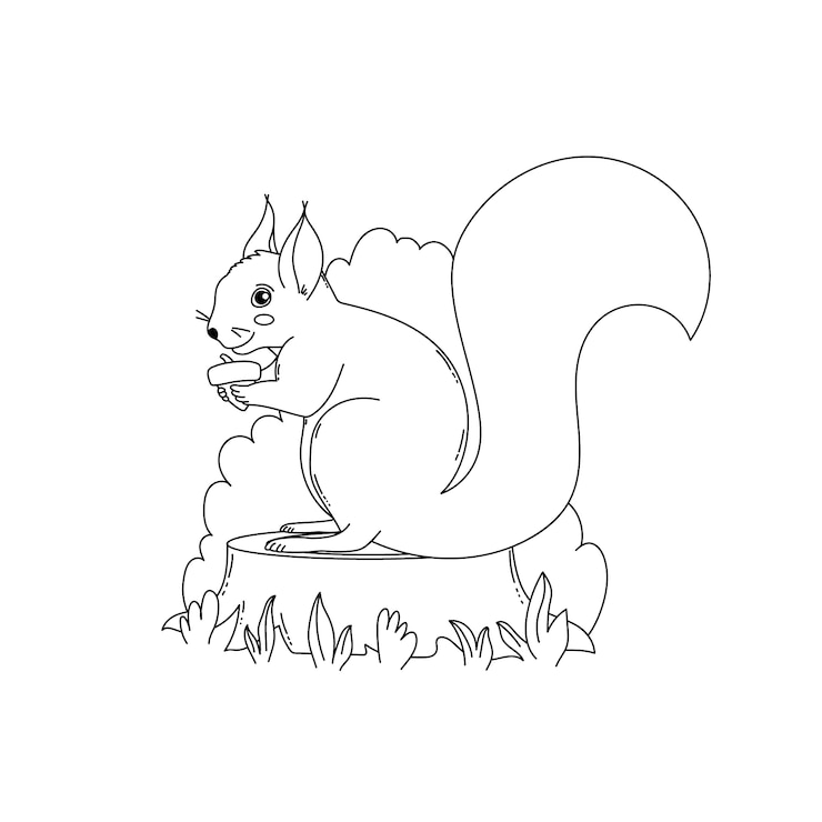 Free Vector hand drawn squirrel outline illustration