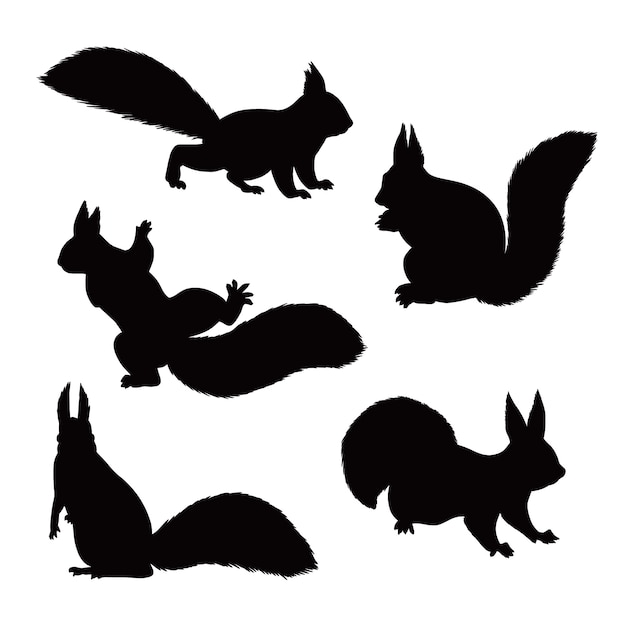 Free vector hand drawn squirrel silhouette