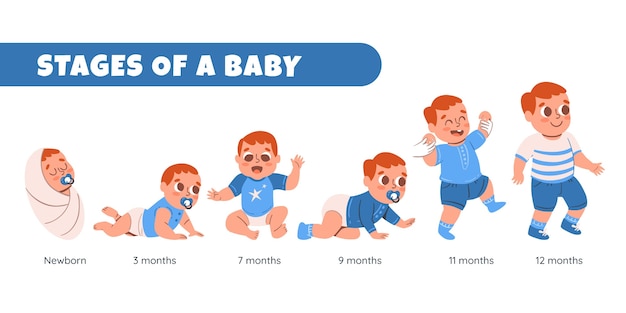 Set Of Growing Up Evolution On White Background. All The Stages Of Growing Up From Baby To Old Men. Age Stages. Royalty Free SVG, Cliparts, Vetores, e Ilustrações Stock. Image 60196843.