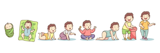 Hand drawn stages of a baby boy illustration