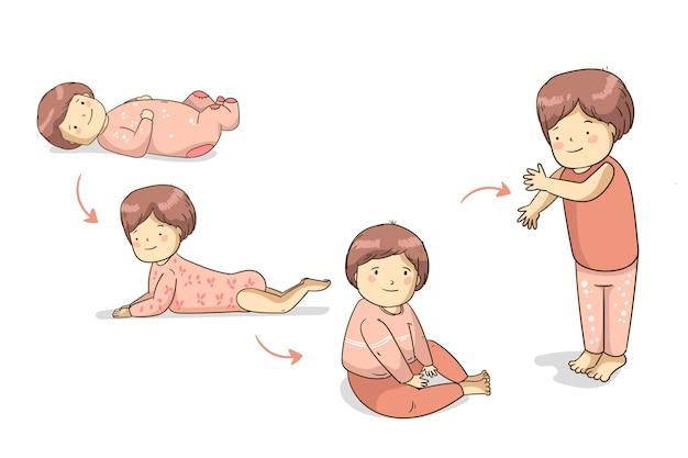 Hand drawn stages of a baby girl