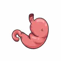 Free vector hand drawn stomach drawing illustration