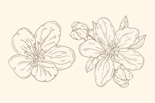 手描きスタイルの花のアウトライン
