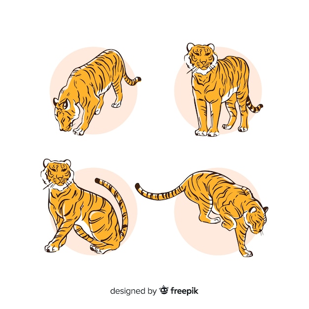 Vettore gratuito collezione tigre stile disegnato a mano