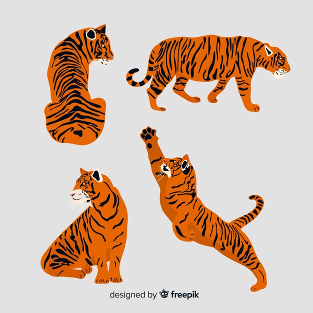 Hand drawn style tiger collection