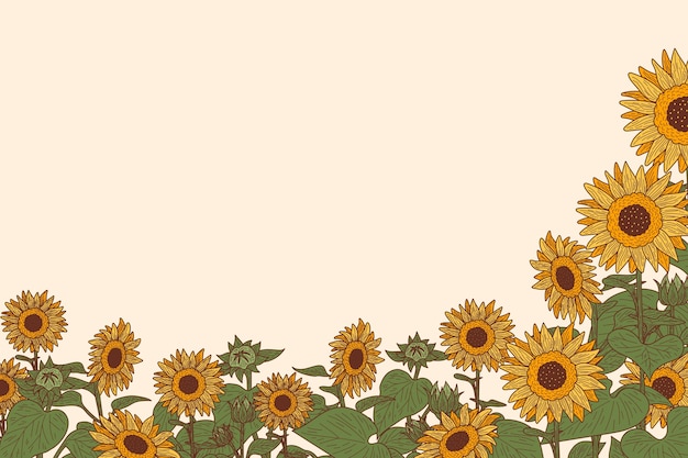 Free Vector hand drawn sunflower border set