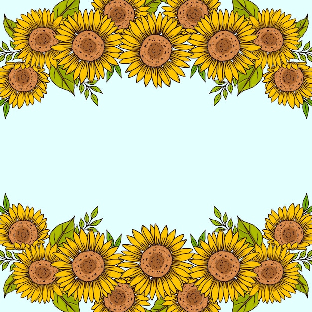 Hand drawn sunflower border set
