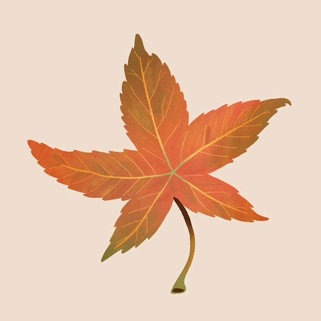 손으로 그린 sweetgum 요소 벡터 가을 잎