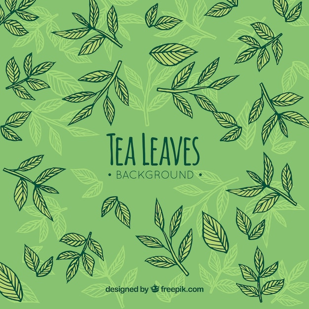 Бесплатное векторное изображение Рисованные чайные листья фон