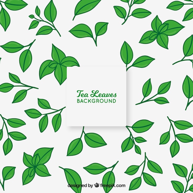 Hand drawn tea leaves background