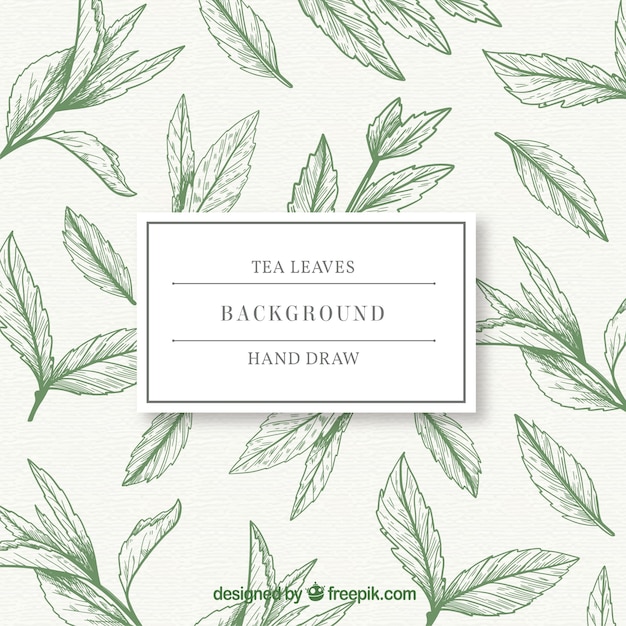 Hand drawn tea leaves background
