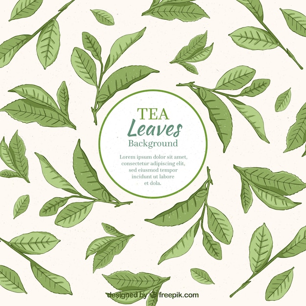 Free vector hand drawn tea leaves background