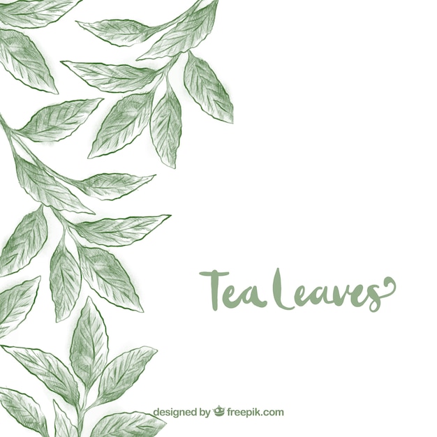 Free vector hand drawn tea leaves background