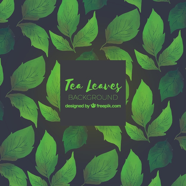 Hand drawn tea leaves background