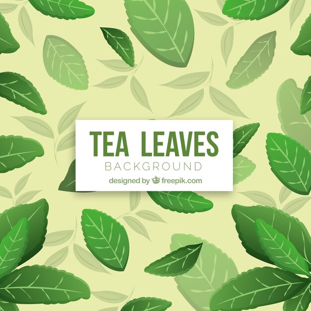 Hand drawn tea leaves background