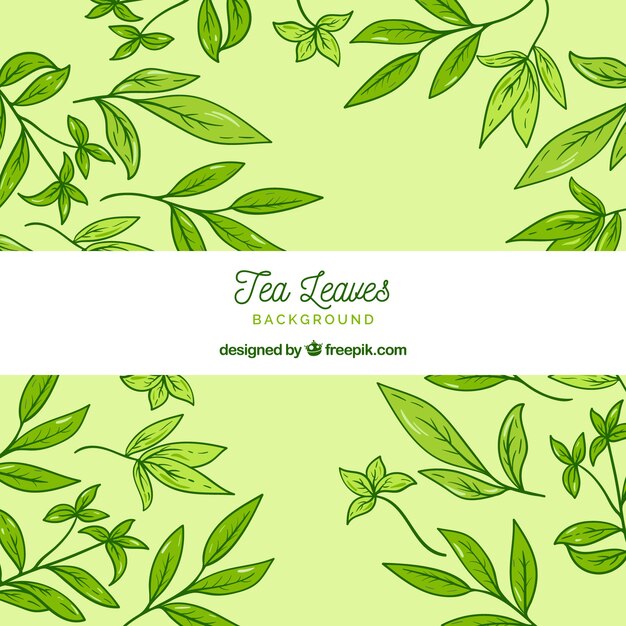 Hand drawn tea leaves background