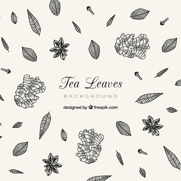 Free vector hand drawn tea leaves background