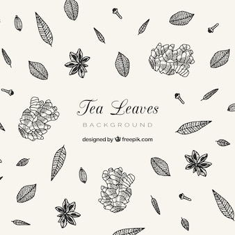 Fondo disegnato a mano delle foglie di tè