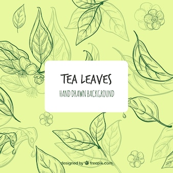 Рисованные чайные листья фон Premium векторы