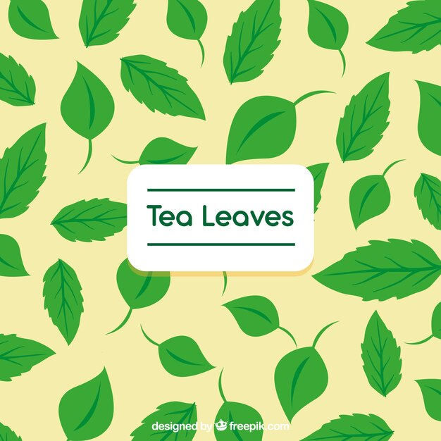 Hand drawn tea leaves background