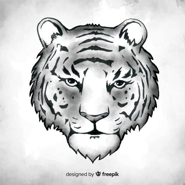 Hand drawn tiger background