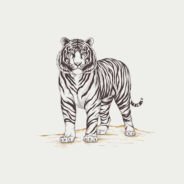 Vettore gratuito illustrazione del profilo della tigre disegnata a mano