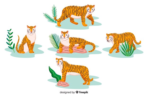 Hand drawn tiger with leaves collection