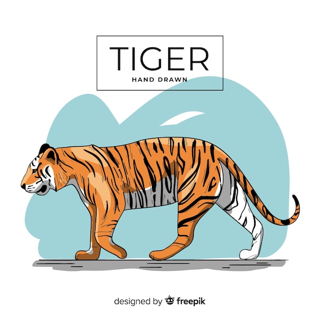 Free vector hand drawn tiger