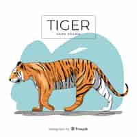 Free vector hand drawn tiger